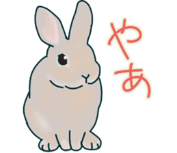 mofmofrabbit sticker #13825182