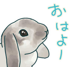 mofmofrabbit sticker #13825183