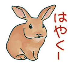 mofmofrabbit sticker #13825187