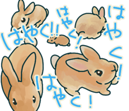 mofmofrabbit sticker #13825188