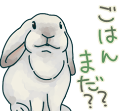 mofmofrabbit sticker #13825193