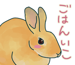 mofmofrabbit sticker #13825194