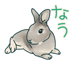 mofmofrabbit sticker #13825197