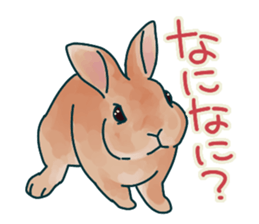 mofmofrabbit sticker #13825200