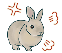 mofmofrabbit sticker #13825205