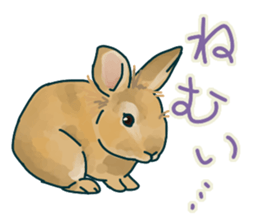 mofmofrabbit sticker #13825209