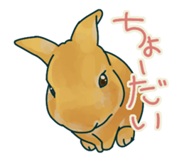 mofmofrabbit sticker #13825212