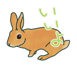 mofmofrabbit sticker #13825213