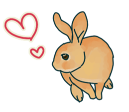 mofmofrabbit sticker #13825214