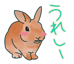 mofmofrabbit sticker #13825215