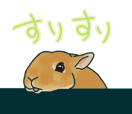 mofmofrabbit sticker #13825217