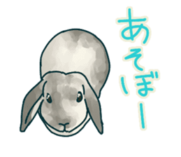 mofmofrabbit sticker #13825218