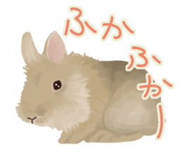 mofmofrabbit sticker #13825219