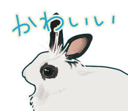 mofmofrabbit sticker #13825220