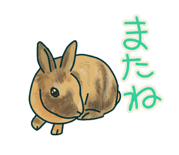 mofmofrabbit sticker #13825221
