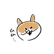 Corgi Hana-chan sticker #13825266