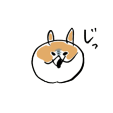 Corgi Hana-chan sticker #13825272
