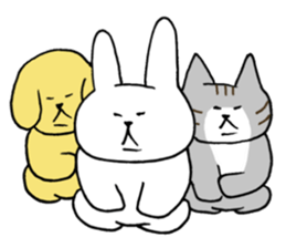 Cute funny animals2 sticker #13826257