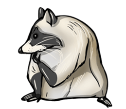 Come on Raccoon! sticker #13827759