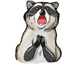Come on Raccoon! sticker #13827762