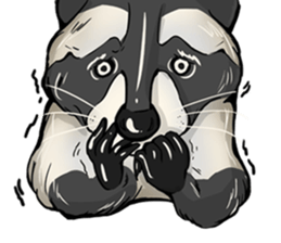 Come on Raccoon! sticker #13827764