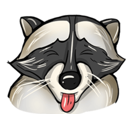 Come on Raccoon! sticker #13827765