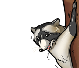 Come on Raccoon! sticker #13827771