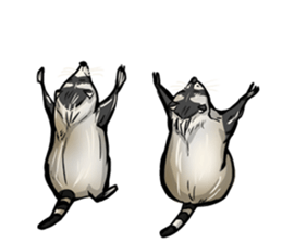 Come on Raccoon! sticker #13827775