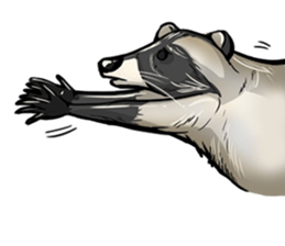 Come on Raccoon! sticker #13827777