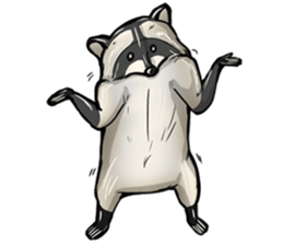Come on Raccoon! sticker #13827778