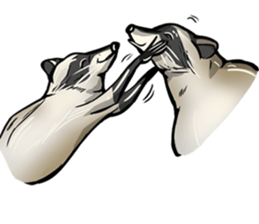 Come on Raccoon! sticker #13827779