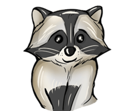 Come on Raccoon! sticker #13827780