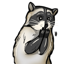 Come on Raccoon! sticker #13827782
