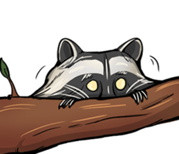 Come on Raccoon! sticker #13827783