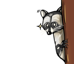 Come on Raccoon! sticker #13827784