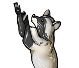 Come on Raccoon! sticker #13827788