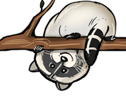 Come on Raccoon! sticker #13827792