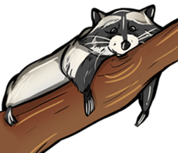 Come on Raccoon! sticker #13827793