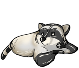 Come on Raccoon! sticker #13827794