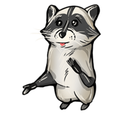 Come on Raccoon! sticker #13827795