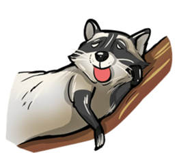 Come on Raccoon! sticker #13827796