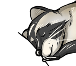 Come on Raccoon! sticker #13827797