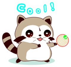 North American Raccoon sticker #13829849