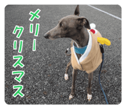 Sign Dog Ral sticker #13830763