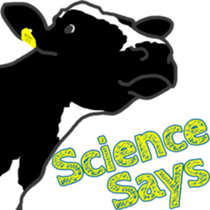 Dairy Diary inNZ sticker #13830854