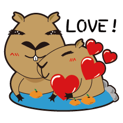 Hydrochoerus hydrochaeris new