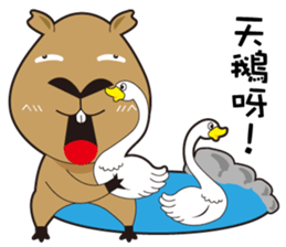 Hydrochoerus hydrochaeris new sticker #13831349