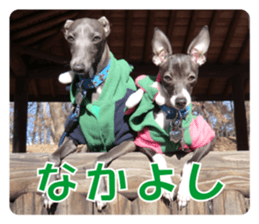 Sub Sign Dog Fia sticker #13832535