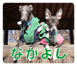 Sub Sign Dog Fia sticker #13832535