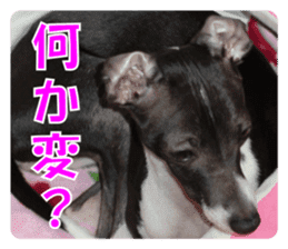 Sub Sign Dog Fia sticker #13832536